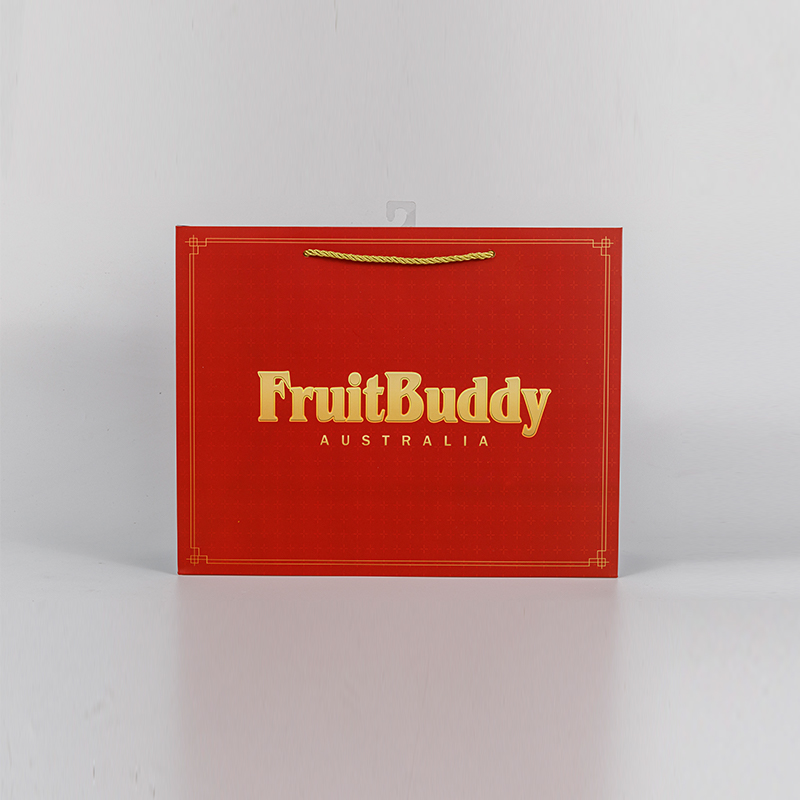 Logo printed retail paper shopping bag with handle
