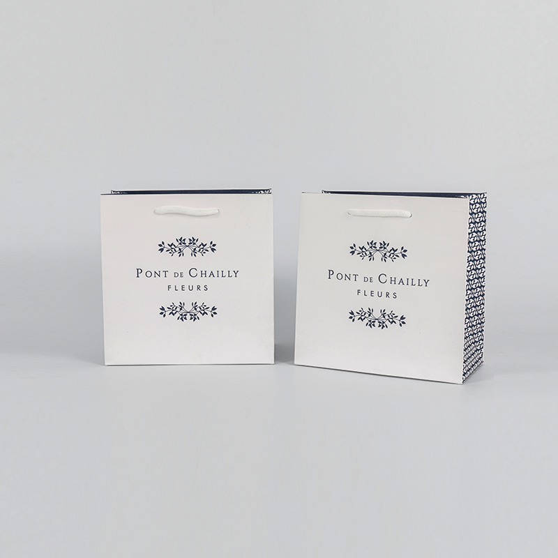 Eco friendly shopping gift paper bag