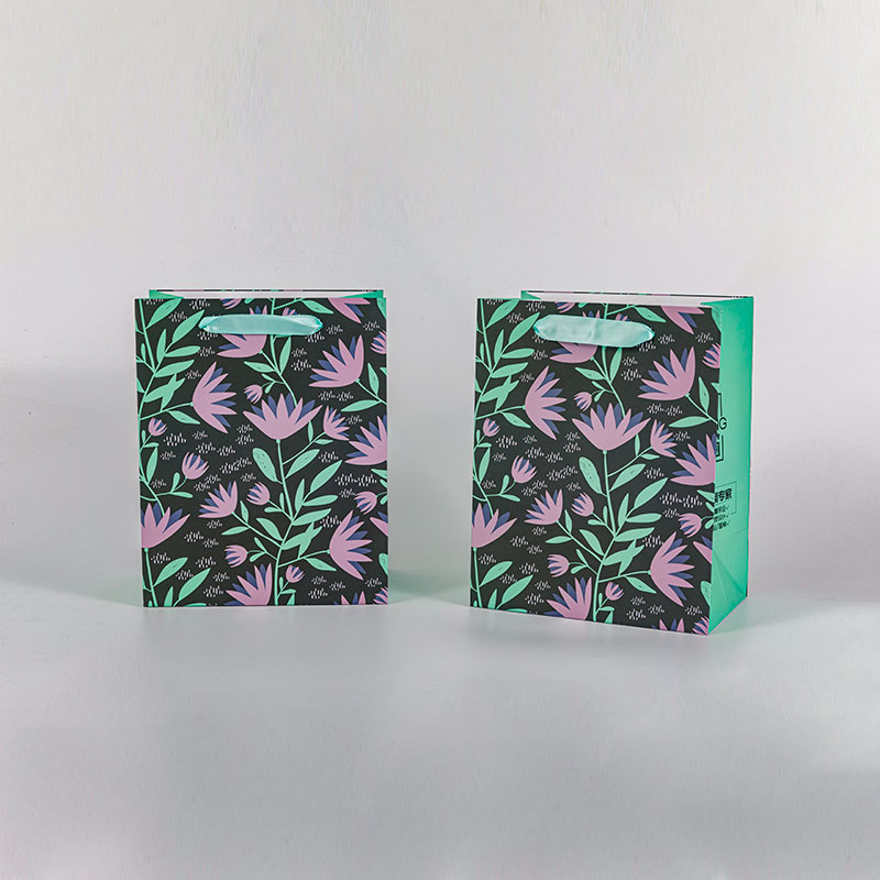 Fancy shopping gift packaging present paper bags with your own logo