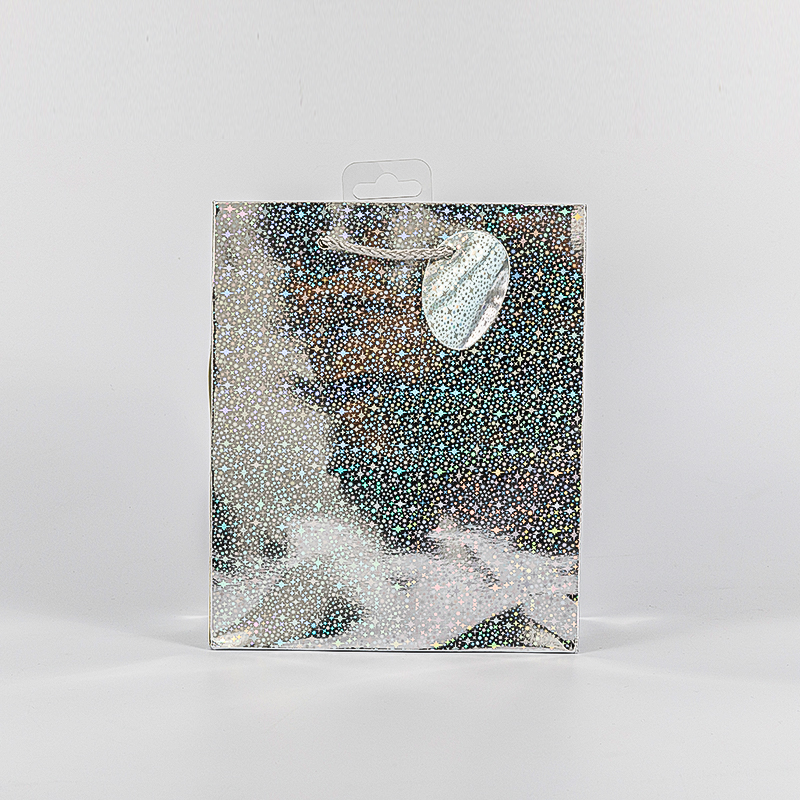 Gloss finish laminated Special paper gift bag