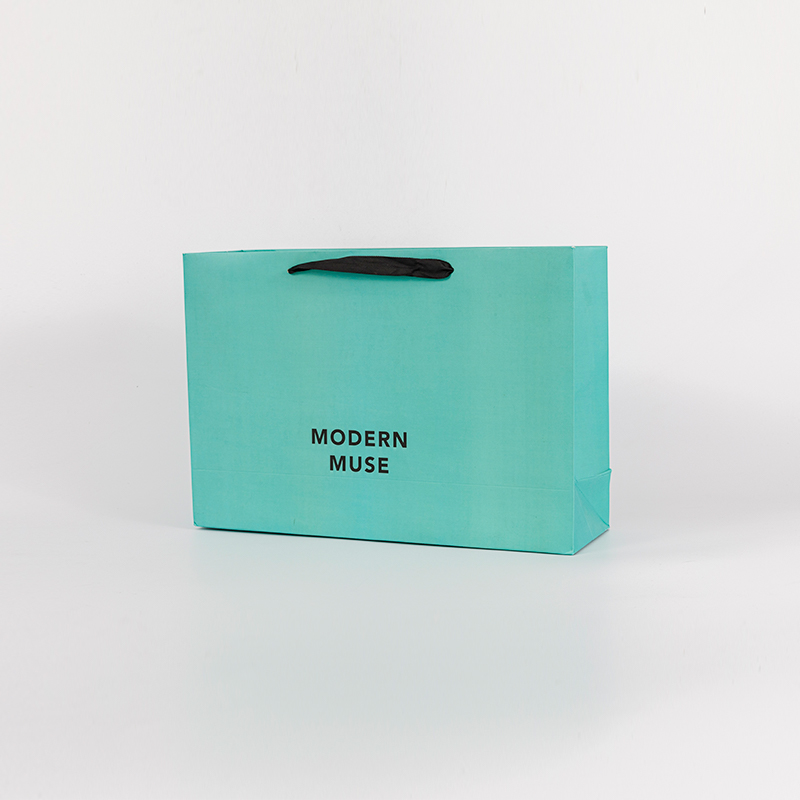 Glossy or matt landscape boutique shop gift bags